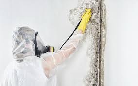 Best Mold Remediation for Healthcare Facilities  in Eureka, MO